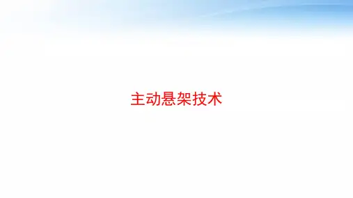 主动悬架技术 ppt课件