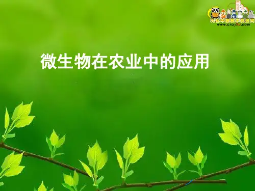 微生物在农中的应用-PPT课件