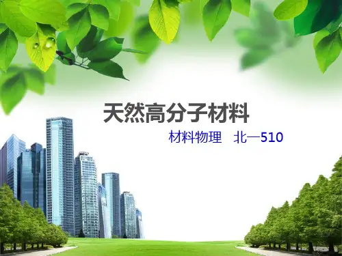 天然高分子