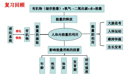 济南版生物七年级下册3.2.3呼吸保健与急救(课件)
