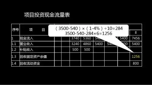 项目投资现金流量表