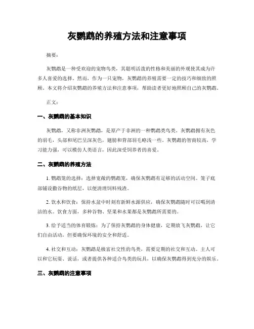 灰鹦鹉的养殖方法和注意事项