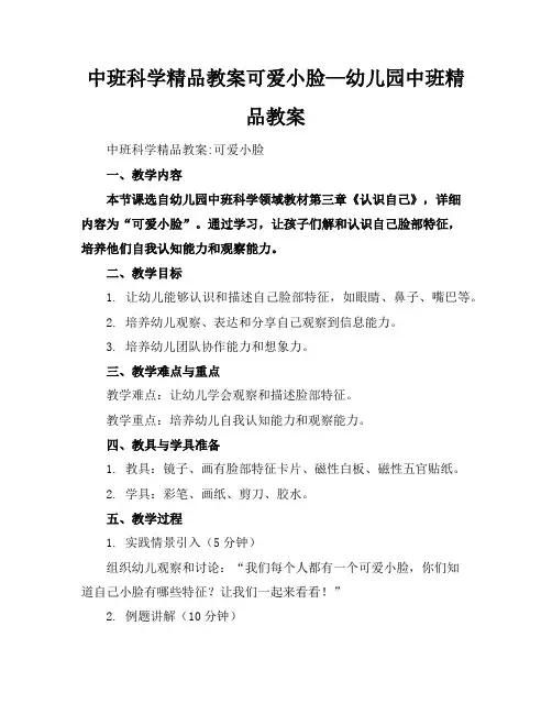 中班科学精品教案可爱的小脸—幼儿园中班精品教案
