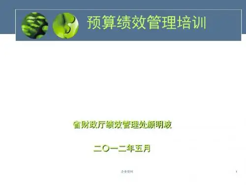 预算绩效管理培训(ppt41张)