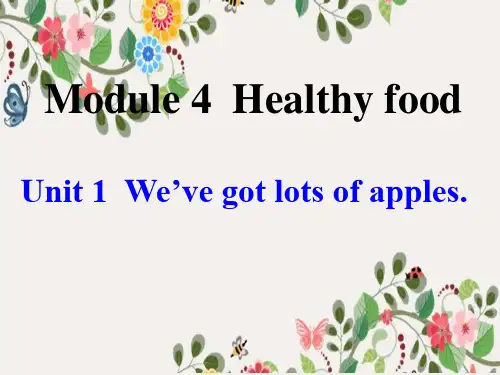 外研版七上U1 We've got lots of apples40课件