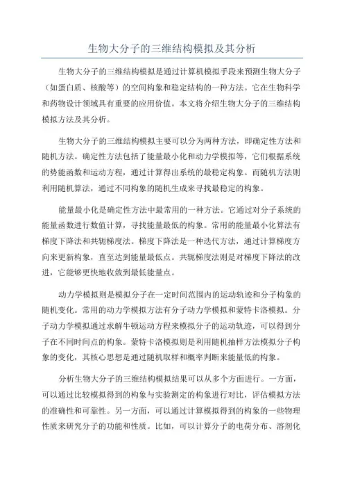 生物大分子的三维结构模拟及其分析