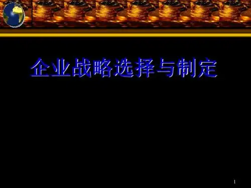 企业战略选择与制定ppt课件