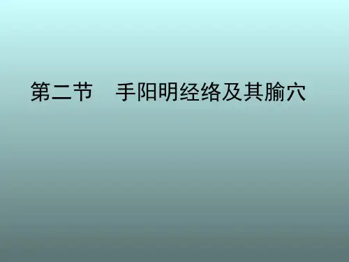 第二节手阳明大肠经