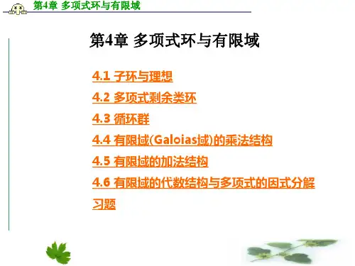 第四章-多项式环与有限域