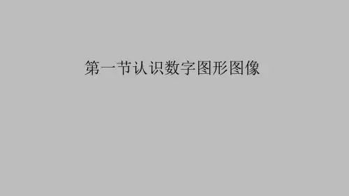 人教版高中信息技术多媒体技术应用分册认识数字图形图像