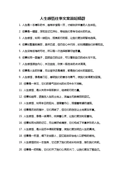 人生感悟往事文案简短精辟
