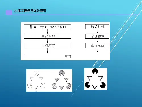人体工程学第5章 人体工程学与空间设计