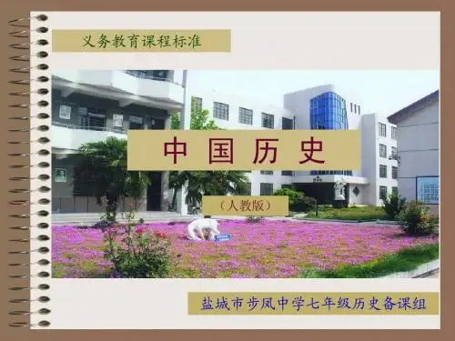 历史七年级下册第04课
