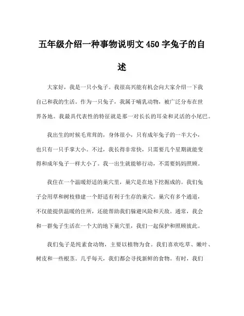 五年级介绍一种事物说明文450字兔子的自述