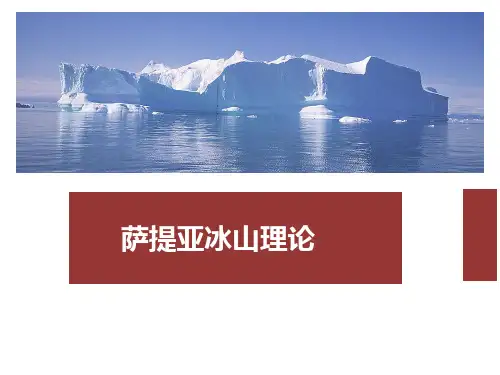 萨提亚—个人冰山理论