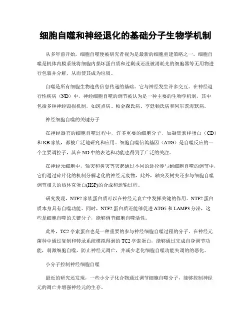 细胞自噬和神经退化的基础分子生物学机制