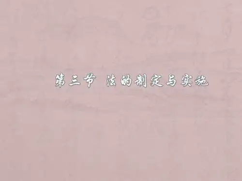 第三节法的制定与实施