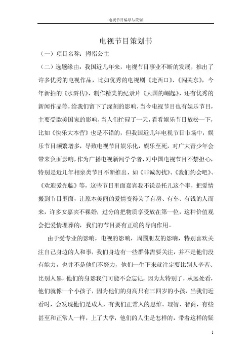 电视节目策划与编导