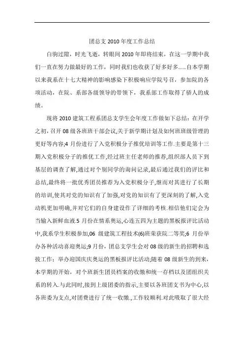 团总支2010年度工作总结