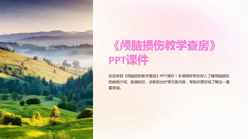 《颅脑损伤教学查房》课件