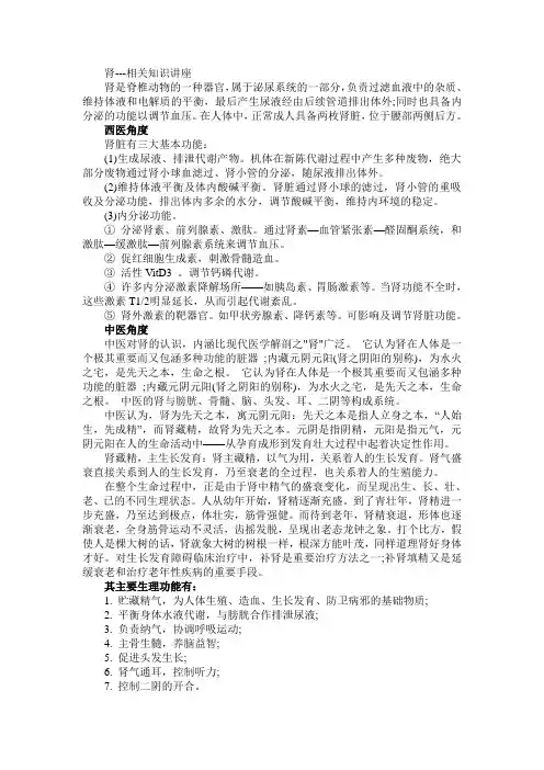 肾---相关知识讲座