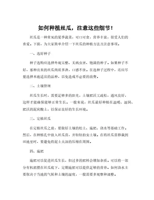 丝瓜的种植方法和注意事项