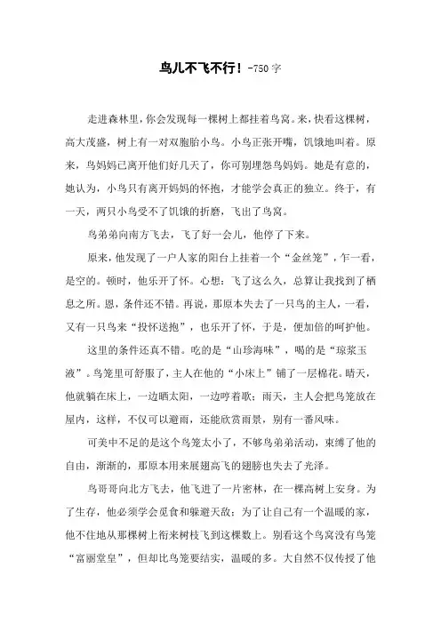 鸟儿不飞不行!-750字初一作文