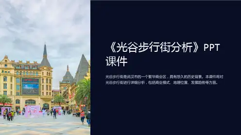 《光谷步行街分析》课件