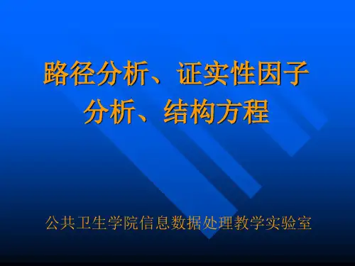 路径分析、证实性因子分析、结构方程