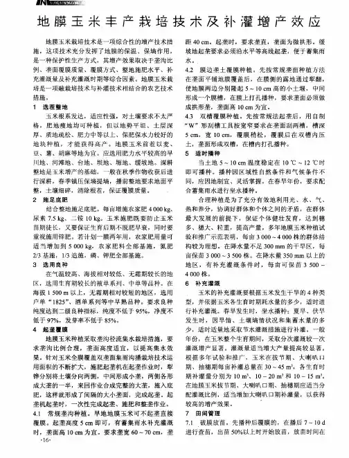 地膜王米丰产栽培技术及补灌增产效应