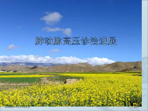 肺动脉高压与右心导管检查