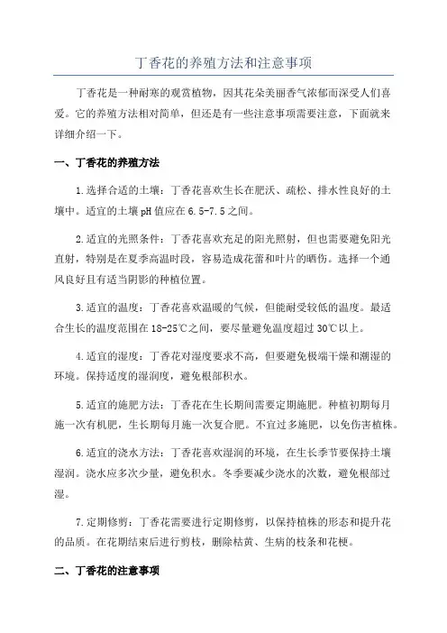 丁香花的养殖方法和注意事项