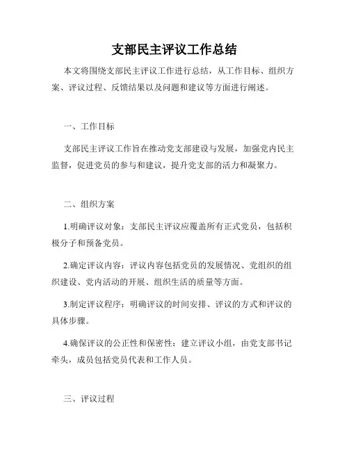 支部民主评议工作总结