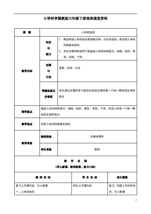小学科学冀教版六年级下册高效课堂资料《人体的组成》教案1