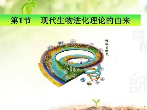 人教版高中生物必修2第七章第1节 现代生物进化理论的由来(共39张PPT)