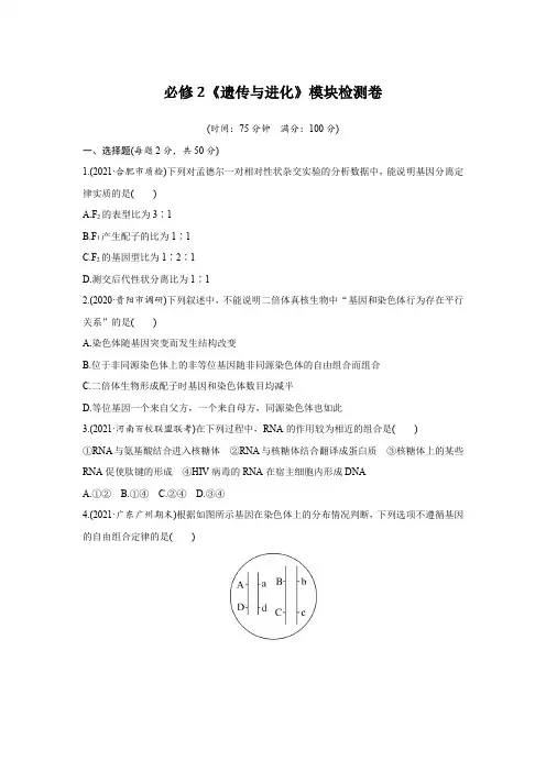 必修2《遗传与进化》模块检测卷