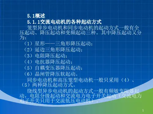 交流电机的起动和制动方式课件