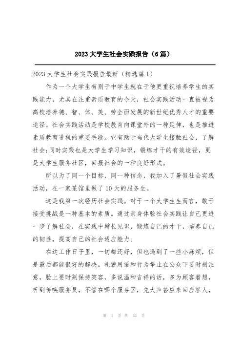 2023大学生社会实践报告(6篇)
