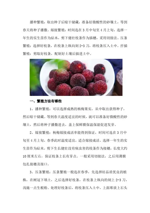 杨梅繁殖方法有哪些,常用哪种方法