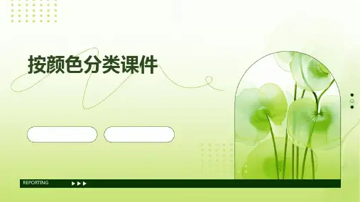 按颜色分类课件PPT