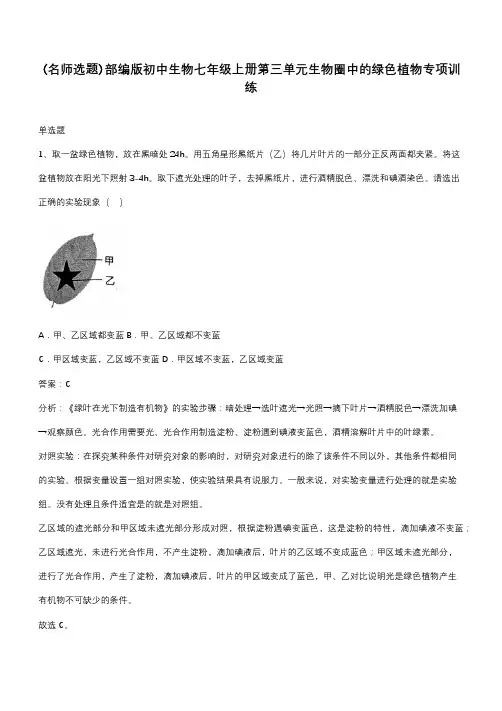 部编版初中生物七年级上册第三单元生物圈中的绿色植物专项训练