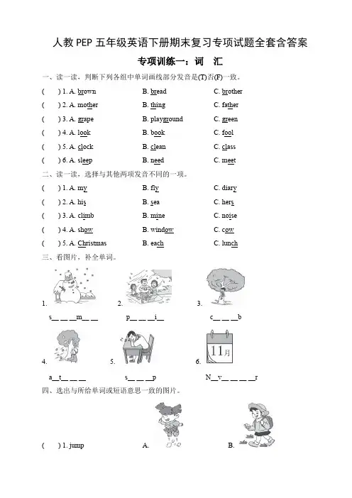 人教PEP五年级英语下册期末复习专项试题全套含答案