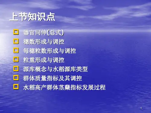 水稻栽培学(第四节)PPT课件