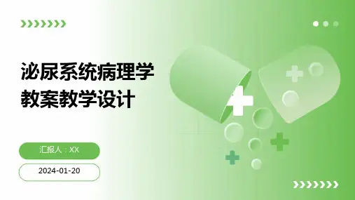 泌尿系统病理学教案教学设计