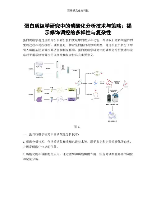 蛋白质组学研究中的磷酸化分析技术与策略：揭示修饰调控的多样性与复杂性