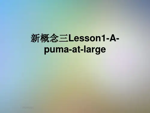 新概念三Lesson1-A-puma-at-large