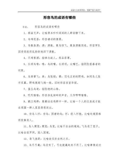 形容鸟的成语有哪些