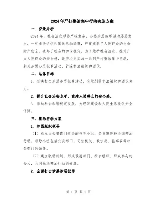 2024年严打整治集中行动实施方案