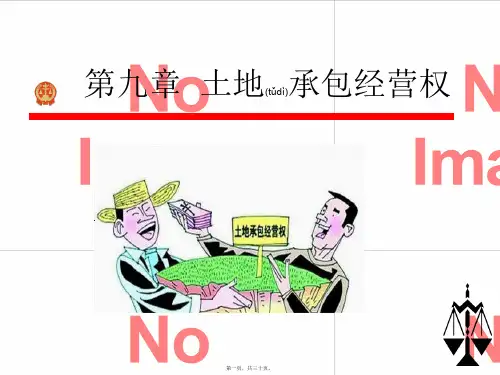 第九章土地承包经营权