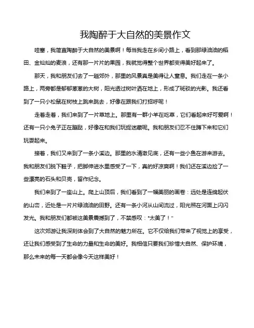 我陶醉于大自然的美景作文